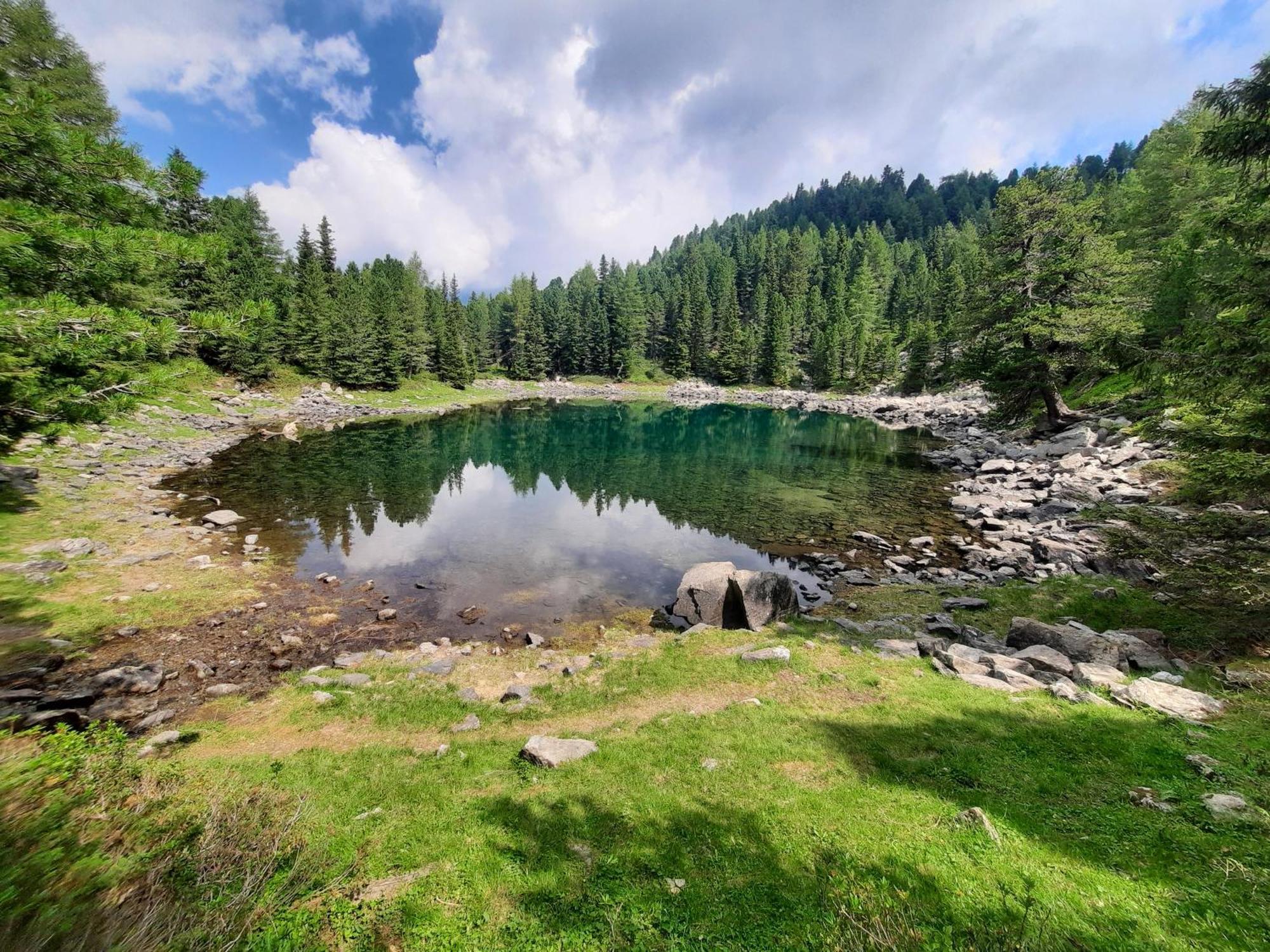 Hoermannhof Брессаноне Экстерьер фото